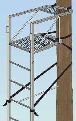 elevated_stand_ladder.jpg